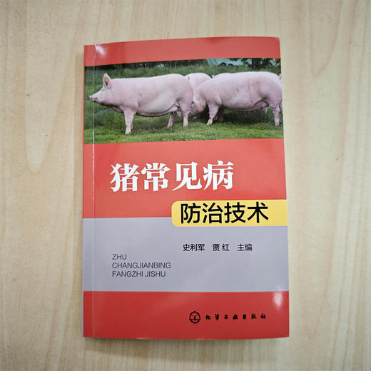 猪常见病防治技术 商品图1