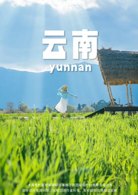 【花开云南】 昆明、大理、丽江双飞一动六天