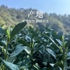 【茶频道自营】2025年 全手工狮峰西湖龙井  头春头采  50g/罐 商品缩略图2