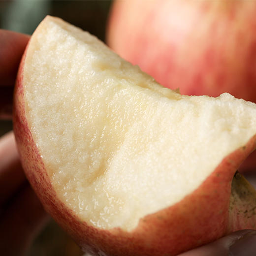 【脆甜多汁 果肉饱满】山东烟台红富士9枚礼盒装  净重4-4.5斤  果香浓郁 肉质细腻 清甜多汁 营养美味~ 商品图3