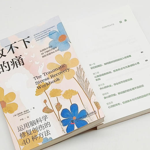 放不下的痛：运用脑科学修复创伤的40种方法（神经科学专家带你深入了解创伤背后的脑机制！） 商品图5