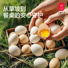 云巅土鸡蛋（快递） 商品缩略图4