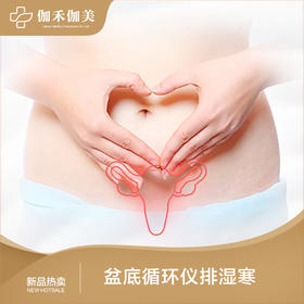 盆底循环仪排湿寒