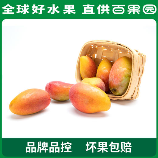 招牌-胭脂泪贵妃芒（中）4斤礼盒装 商品图4