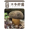 云山夏珍 鲜制云南野生黑牛肝菌 商品缩略图1