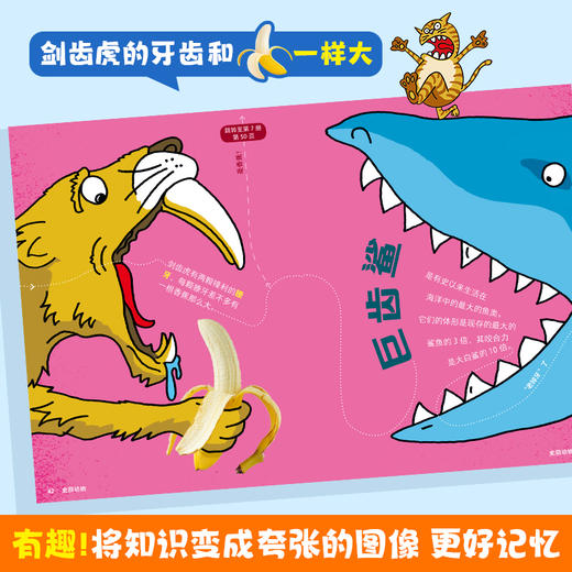 大英儿童百科 万万想不到 全套32册 商品图2