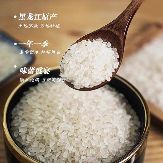 稼穑园长粒香 东北大米10斤新米 商品图1