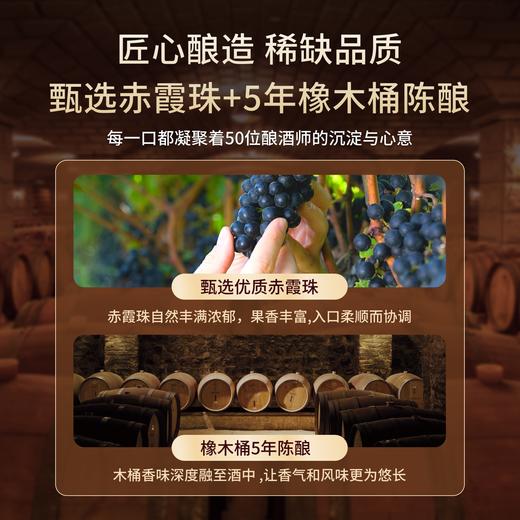 【智利红酒】华大原瓶进口TOPWINEMAKERS赤霞珠葡萄酒2018年750ml五年熟化14度干型含礼盒红酒送礼 商品图2