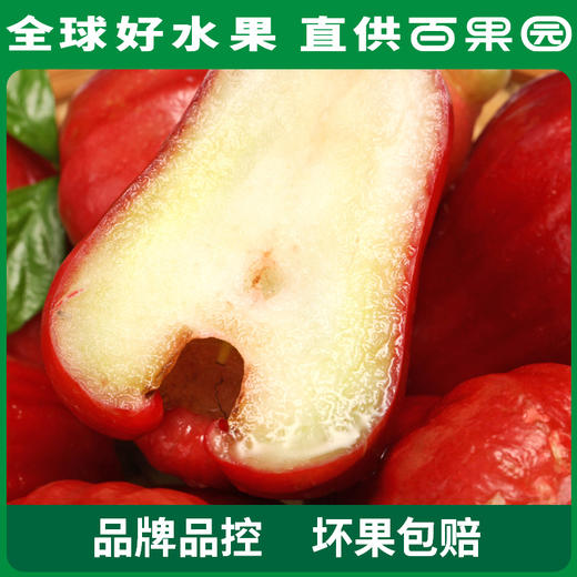 PAGODA百果园 A级-黑金刚莲雾（大）3斤装 商品图2