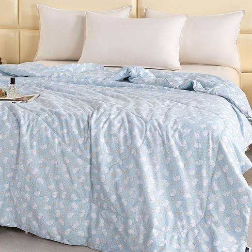 巴米乐 BNL-JF08D32 三生有杏柔肤被 商品图2