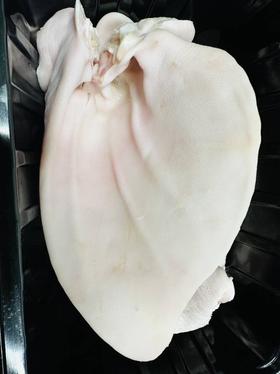 鲜切猪耳朵32元1整个约400-500g，明天到