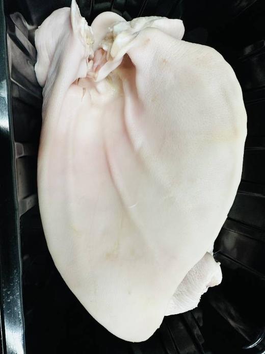 鲜切猪耳朵32元1整个约400-500g，明天到 商品图0