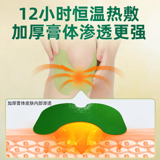 百年扁氏膝盖贴加强版 商品图3