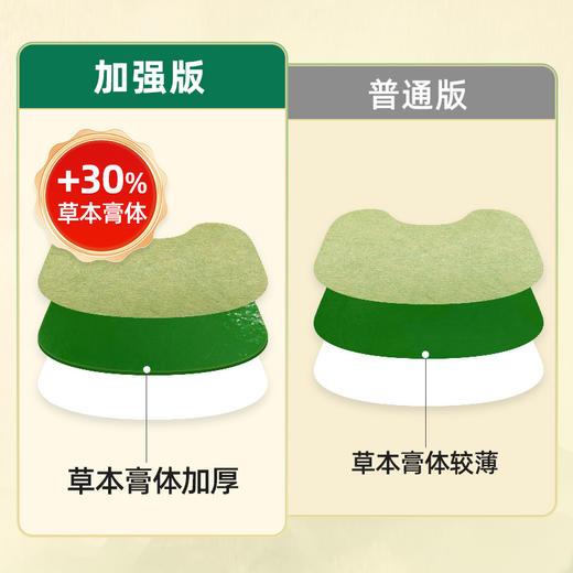 百年扁氏肩周贴加强版 商品图2