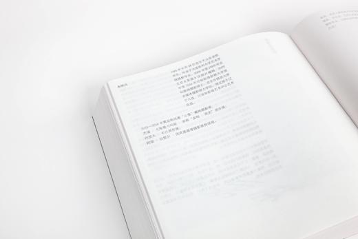 【限量预售】三十六张脸：1985年以来的中国青年摄影家侧面（作者+设计师双签名+编号纪念版，仅300本，售完不补） 商品图7