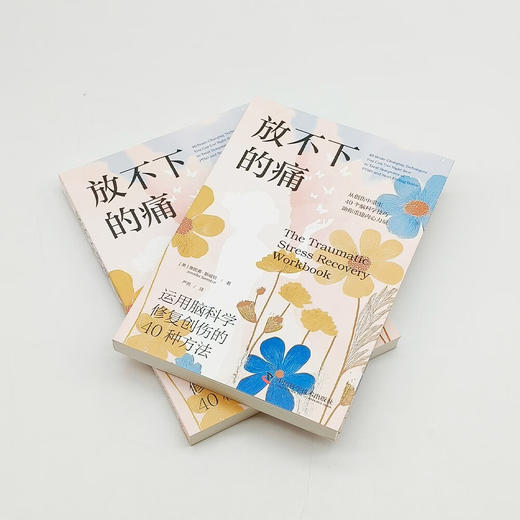 放不下的痛：运用脑科学修复创伤的40种方法（神经科学专家带你深入了解创伤背后的脑机制！） 商品图4