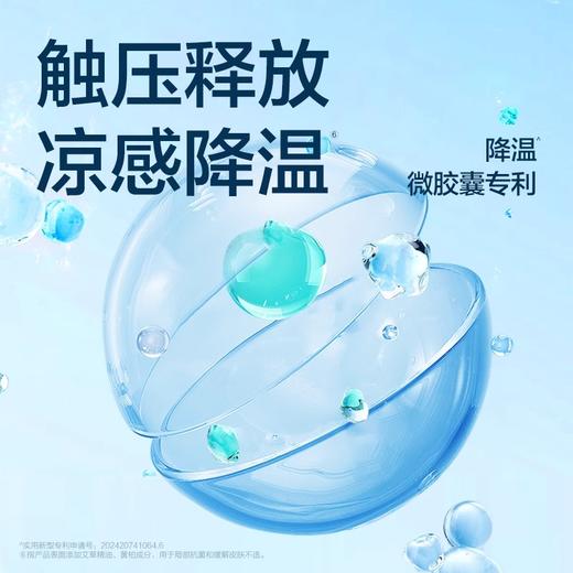 【可靠夏季超薄款拉拉裤 整箱】超薄透气内裤式成人拉拉裤M/L/XL 商品图2