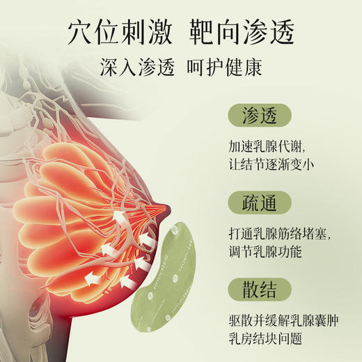 【爱生气的姐妹看过来】后辰乳腺贴  4片/袋 商品图1