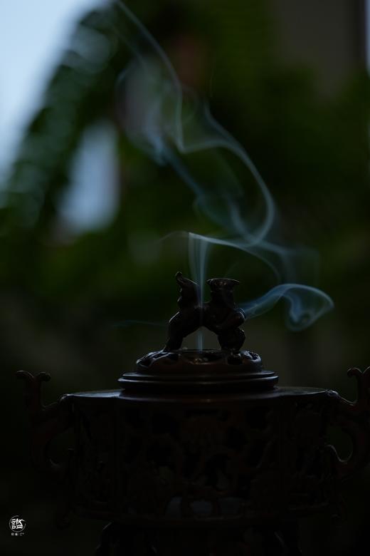 奇楠红土游龙沉香 商品图4