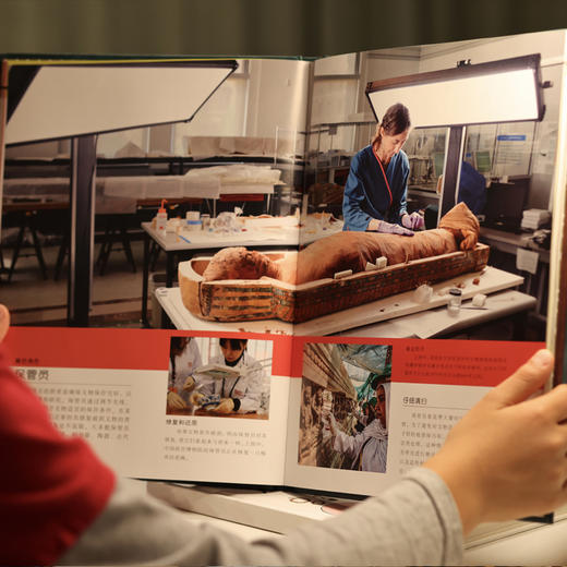 《DK博物馆背后的故事》6-18岁 直观感受人类文明 开启一场博物馆无障碍漫游之旅 商品图2