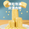 【有机食品】 赤峰有机认证玉米 甜糯玉米真空锁鲜装 内蒙赤峰有机甜糯玉米白玉米/黄玉米/黑玉米230g*8穗/件亮袋轻食控糖适配 商品缩略图1