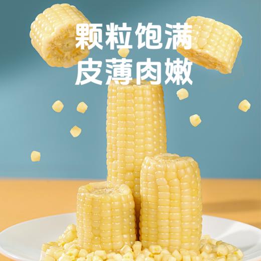 【有机食品】 赤峰有机认证玉米 甜糯玉米真空锁鲜装 内蒙赤峰有机甜糯玉米白玉米/黄玉米/黑玉米230g*8穗/件亮袋轻食控糖适配 商品图1