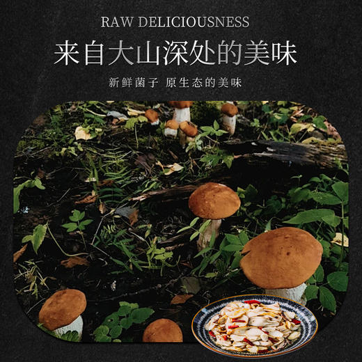 林端上品 鲜制云南野生美味牛肝菌 商品图1