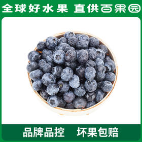 A级-蓝雾蓝莓（大）125g 6盒家庭装
