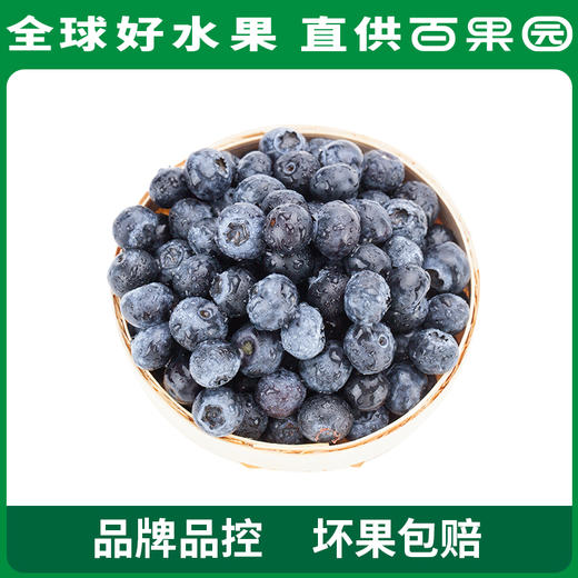 A级-蓝雾蓝莓（大）125g 6盒家庭装 商品图0