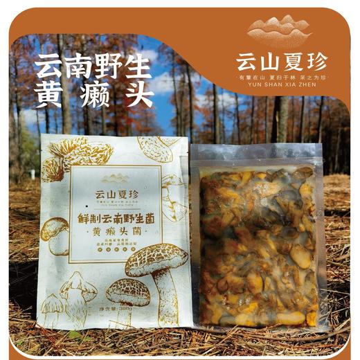 云山夏珍 鲜制云南野生黄牛肝菌 商品图0