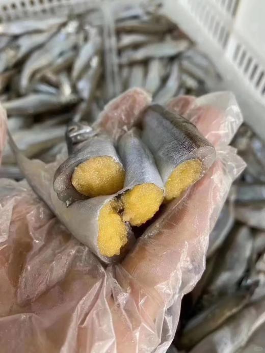 & 爆籽多春鱼（不用杀220g/盒约9只）高蛋白，香煎 烤  炸！超级香‼活冻 商品图1