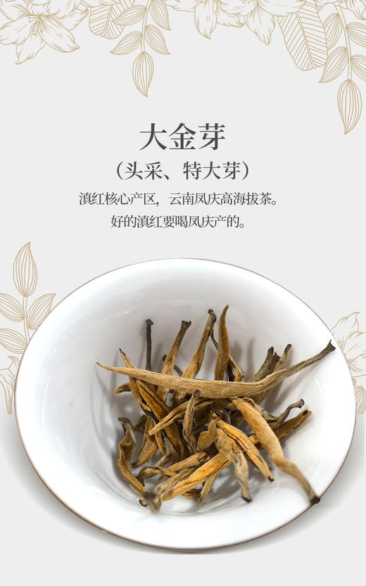 大金芽-特大芽 内部福利团 头采500克 蜜香 商品图4