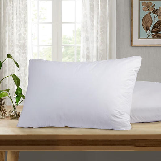 富安娜 健康1+1对枕 商品图2