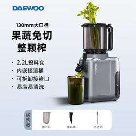 大宇（DAEWOO）榨汁机榨汁分离原汁机家用全自动渣汁慢磨130mm大口径易拆易清洗果汁机高纯汁率果蔬榨汁机 130mm大口径99%纯汁率-银色