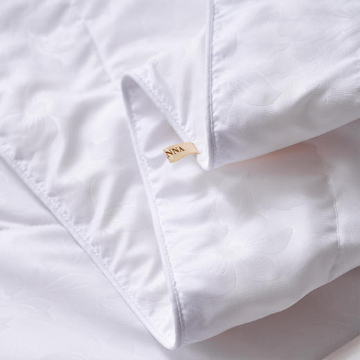 富安娜(FUANNA) 沁雅蚕丝被203*229cm 商品图3