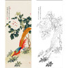 俞致贞花鸟工笔画白描底稿《牡丹锦鸡》临摹勾线高清打印稿ZZ64 商品缩略图0