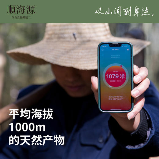 【试吃装】从山间到身边【顺海源 竹影碳烤笋/东方糯米笋】让更多的食客感受自然给予的乡野风味！ 商品图2