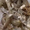 舟山港口 中大皮皮虾混搭 3斤装（20只内/斤） 商品缩略图0