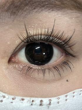 Kaylens半年抛美瞳 嘟嘟黑 14.5mm