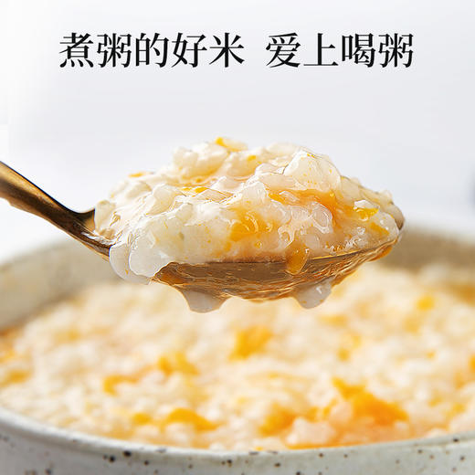 大米一级优质米梗米带胚芽五谷杂粮熬米油新米产地发 2.5kg 商品图3