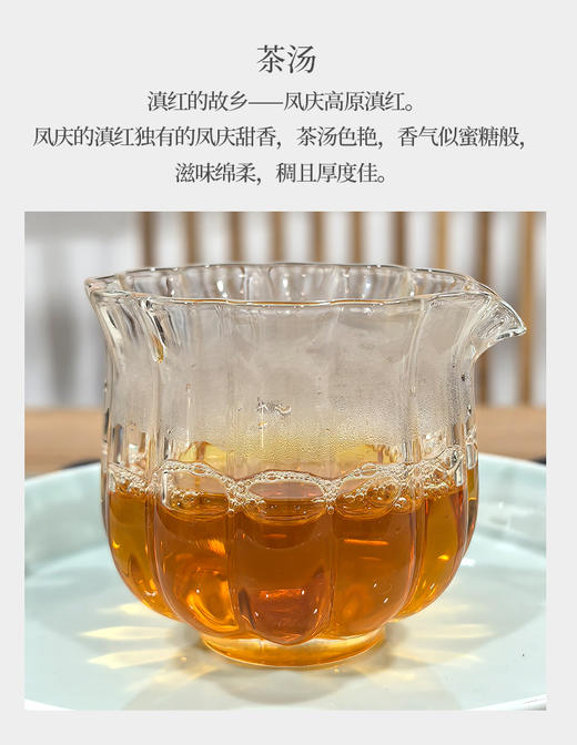 大金芽-特大芽 内部福利团 头采500克 蜜香 商品图2