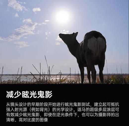 适马18-50mm F2.8 DC DN｜Contemporary 恒定大光圈标准变焦人像镜头APS-C画幅镜头 商品图2