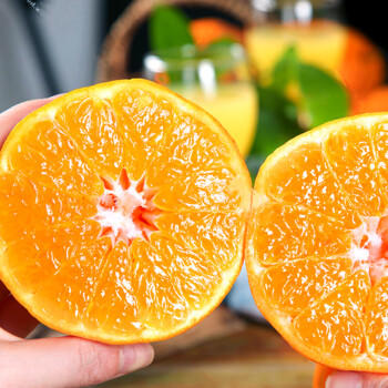 京鲜生 四川春见耙耙柑 净重5斤 单果180g起 生鲜水果柑橘桔子礼盒 商品图5