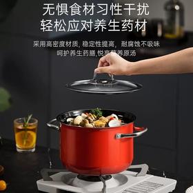 【6F】WMF德国原装进口奈彩米Compact汤锅  22CM(红色）