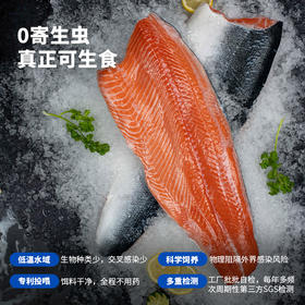 【严选鱼柳】天蕴 新疆三文鱼鱼柳 700g/盒 真正可生食