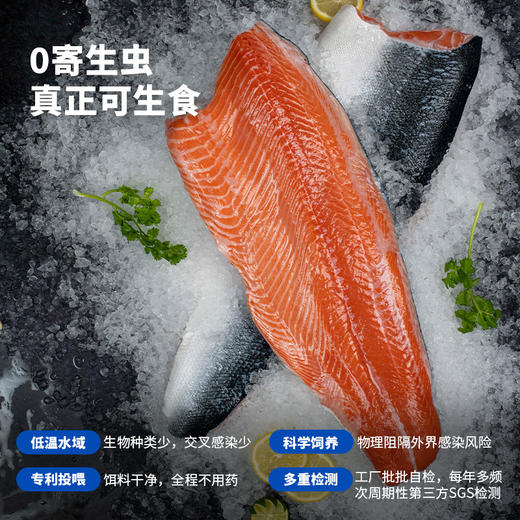 【严选鱼柳】天蕴 新疆三文鱼鱼柳 700g/盒 真正可生食 商品图0