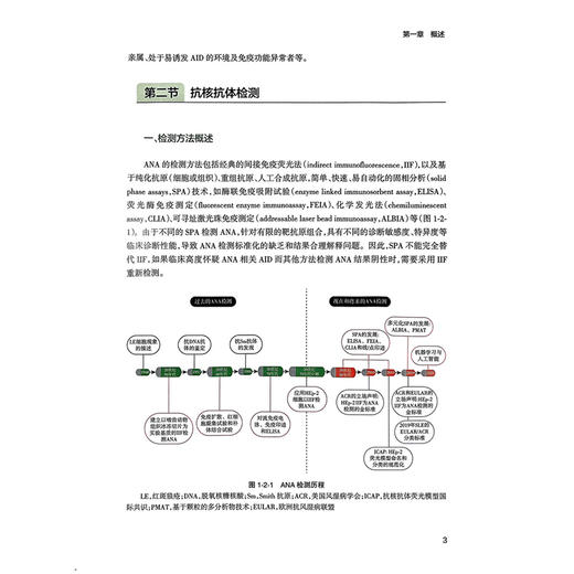 图说抗核抗体——荧光模型识别与病例精选 杨滨 胡朝军 主编 抗核抗体检测的规范化 典型荧光模型判读要点等 人民卫生出版社 商品图4