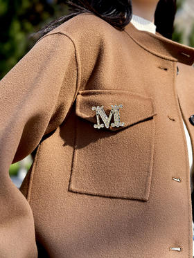 THS-无  max 秋冬点睛之笔胸针 经典款82粒施华洛钻水晶胸针 CU979