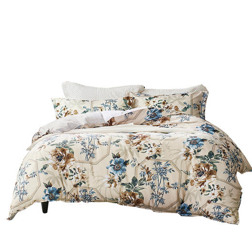 富安娜(FUANNA) 抗菌磨毛四件套-半城烟雨 商品图1