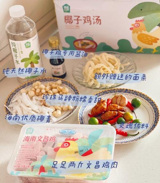 【空运到家】6个套餐可选下拉见详情，正宗豪华版海南椰子鸡基地直邮 商品图0